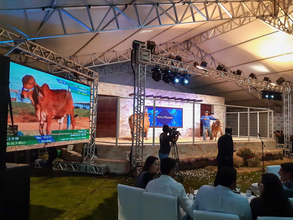 WhatsApp Image 2020-07-12 at 18.31.08 (1).jpeg